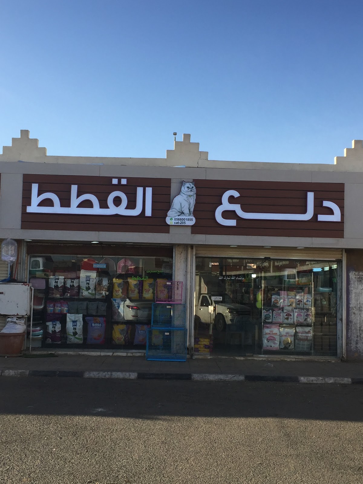 روعة القطط - صورة 3