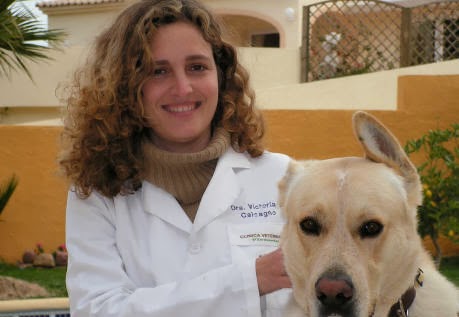 Clínica Veterinaria Victoria