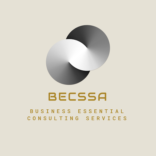 BECSSA, LLC - Visual