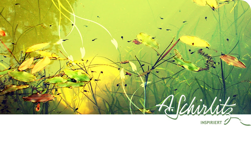 Dipl.-Psych. Anja Schirlitz, Psychologe