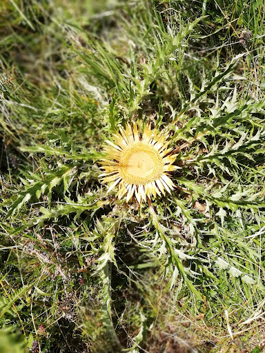 Orrazi Peluquería Ileapaindegia - Thumbnail