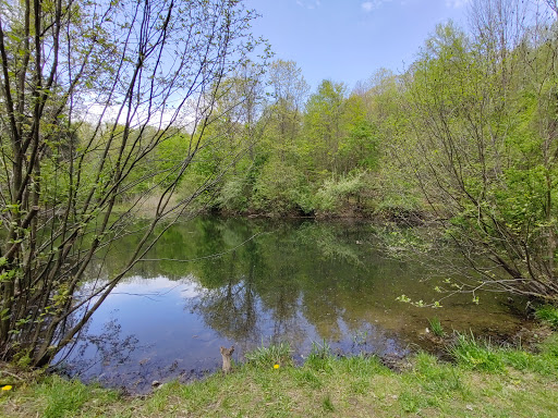 North Woods Nature Preserve - Thumbnail