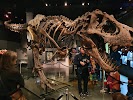 Фотография Zoological museum (Robert Collett's house) – Natural History museum, Осло, Норвегия