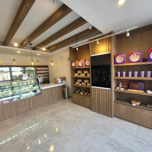 Tere Cazola - Puerto Morelos