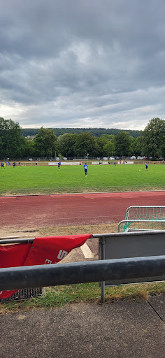 VfB Reichenbach - Visual