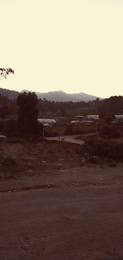 Refugio Jay: La casa del Teonanácatl - Thumbnail