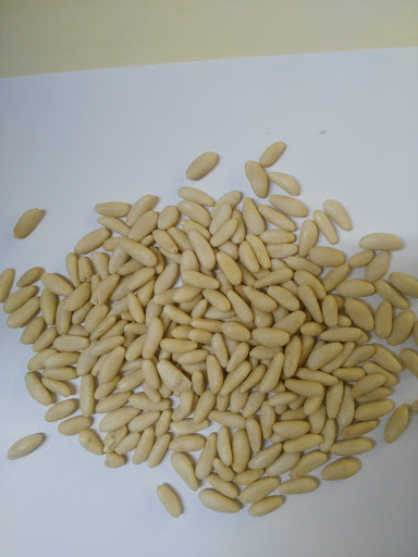 Salsafran - Visual