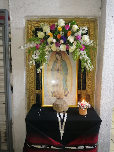 Josefina Flor