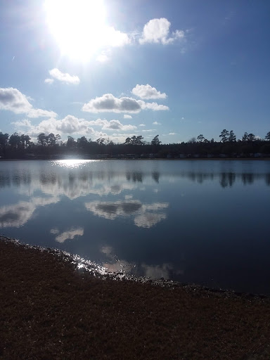 Thomson Lake Recreation Park - Thumbnail