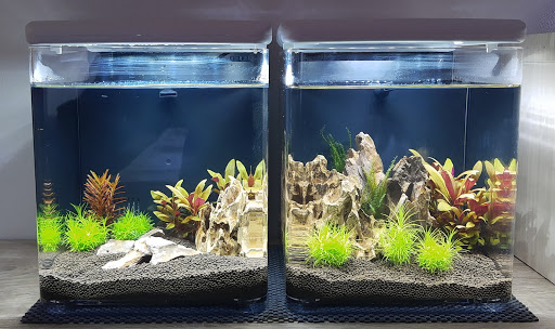 AquariumComfort