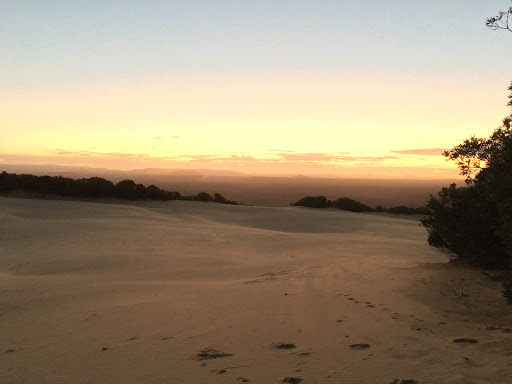 Cooloola Sandpatch - Visual
