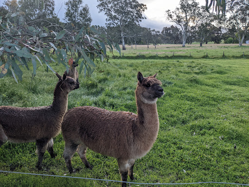 Meadowbrook | Adelaide Hills - Thumbnail