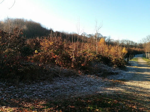Centre Sportif Gaillon - Thumbnail
