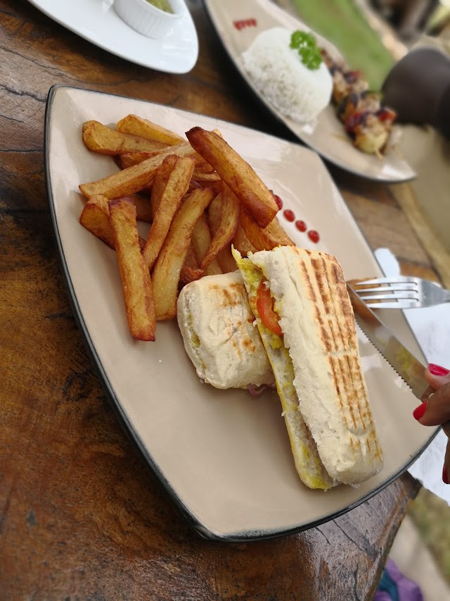 Blue Turtle Bay