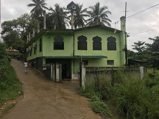 Hameedia Jumma Masjid, Author: Azeem Muzammil