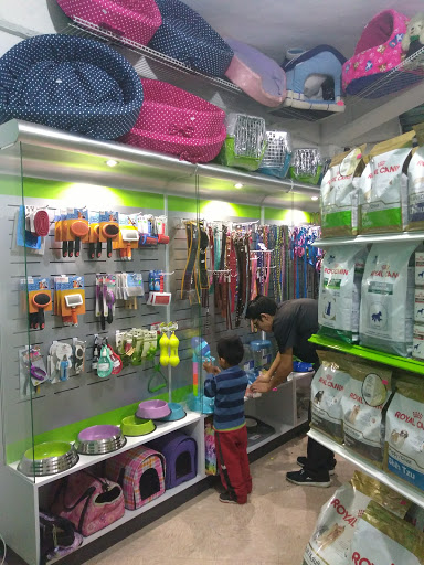 Clínica Veterinaria Mazteck - Thumbnail