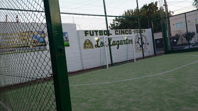 Los LAGARTOS FUTBOL 5, Author: Ariel Garofalo