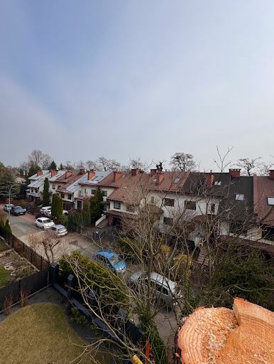 Wycinka i pielęgnacja drzew - ArboNauta