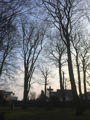 Friedhof Steinheim (Ehrenfriedhof) - Thumbnail