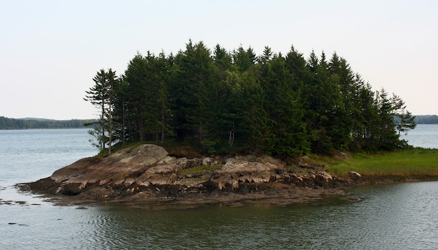 Cobscook Bay State Park