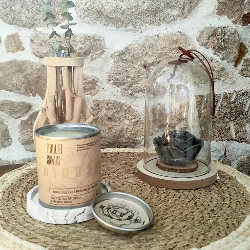 Niouski - Visual