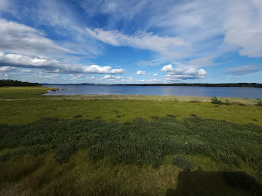 Stornäset - Thumbnail