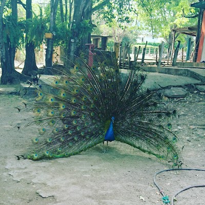 Photos of Ricaurte Park