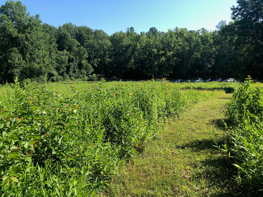 Mile 2.5 and Cross County Trail Access Point - Thumbnail