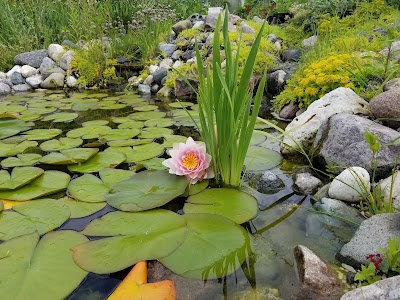 Woodland Dunes Nature Center & Preserve