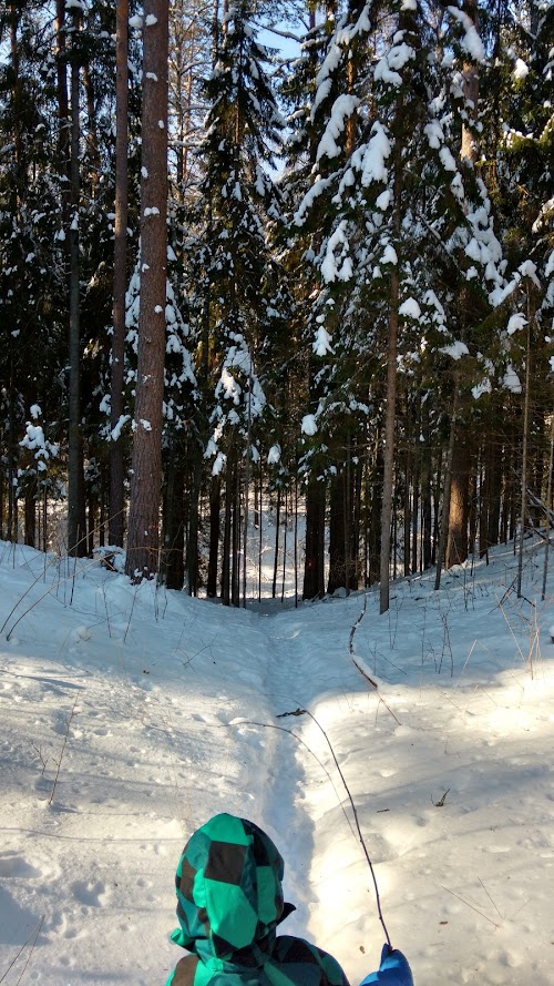 Voorepalu Põrgurada