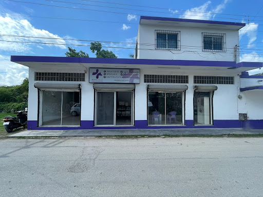 Veterinaria Petsville
