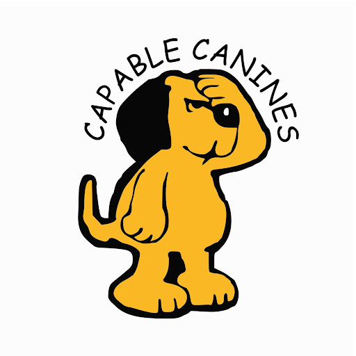 Pet Directory Services - Visual