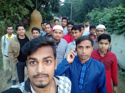 Photos of Hamlabari Sarkar Bari Jame Mosjid