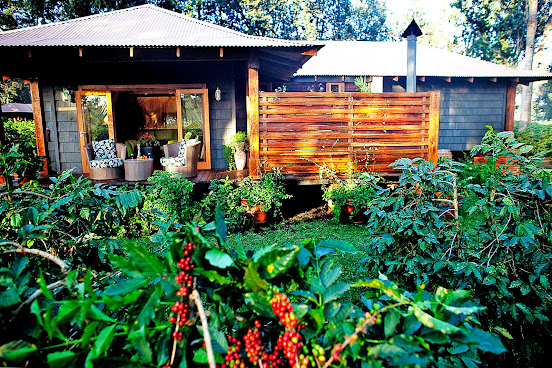 Arusha Coffee Lodge by Elewana by null