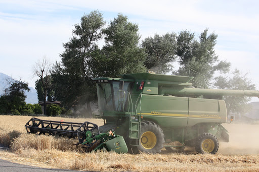 West Mountain Grains