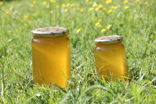 Miel d'Armentières en Brie, Apiculteur