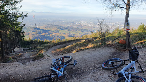 Statera Schwarzwaldtrail