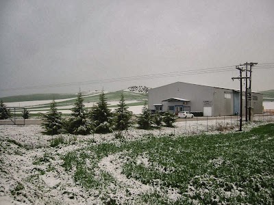 Photos of Europarts