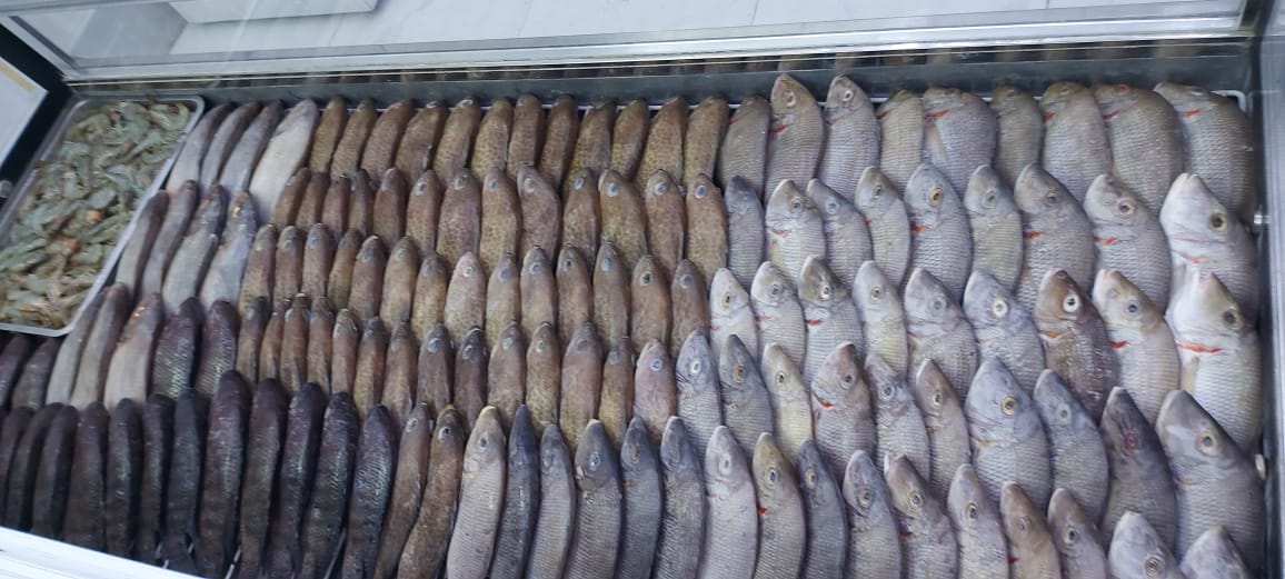 بيت الجود للاسماك - صورة 2