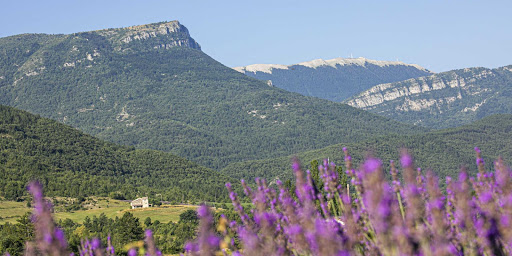 Office de Tourisme Montagne de Lure - Thumbnail