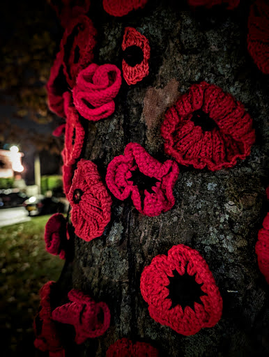Pembury village green - Thumbnail