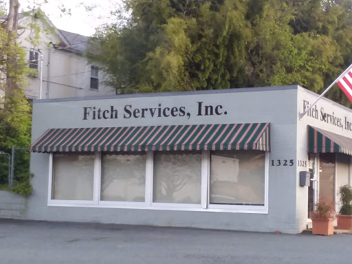 Fitch Services - Visual