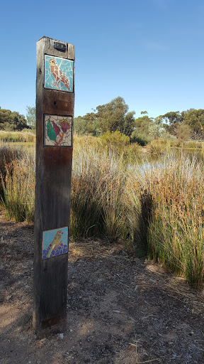Pinnaroo Wetlands - Thumbnail