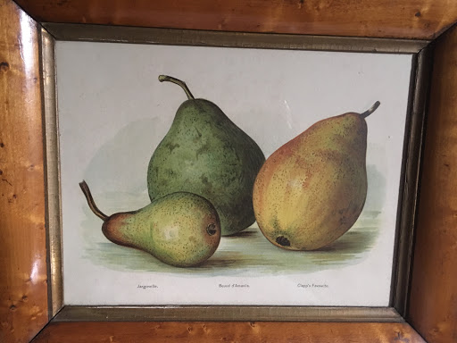 Foreside Antiques - Visual