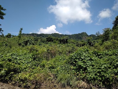 Photos of Jhorjhori Waterfalls (ঝরঝরি)