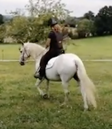 Photo n°8 de Equi Balance à Le Bas Ségala (Ferme)