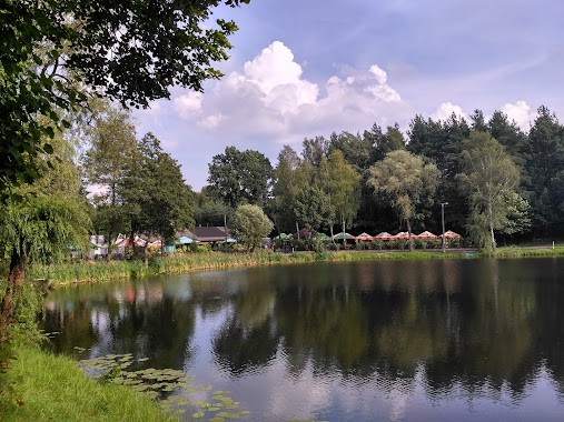 Park KWK Staszic, Author: Dariusz Kleina