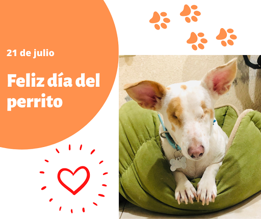 Especialidades Veterinarias
