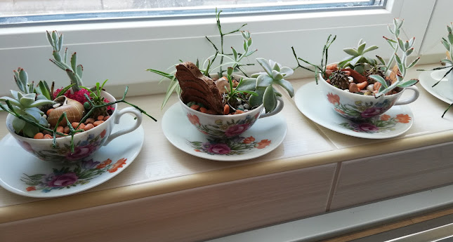 Opinii despre Villa Heuréka în Gárdony - Szálloda