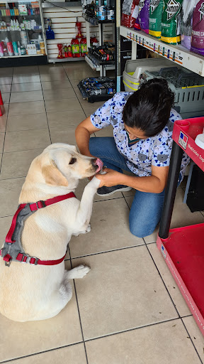 Clínica Veterinaria Hund Bud - Thumbnail